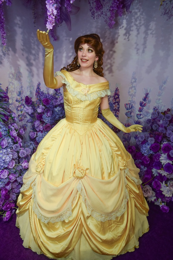 costumed princess in an elegant ballgown