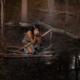 Photograph of a young man dressed in Native American regalia drinking from a river in the woods.