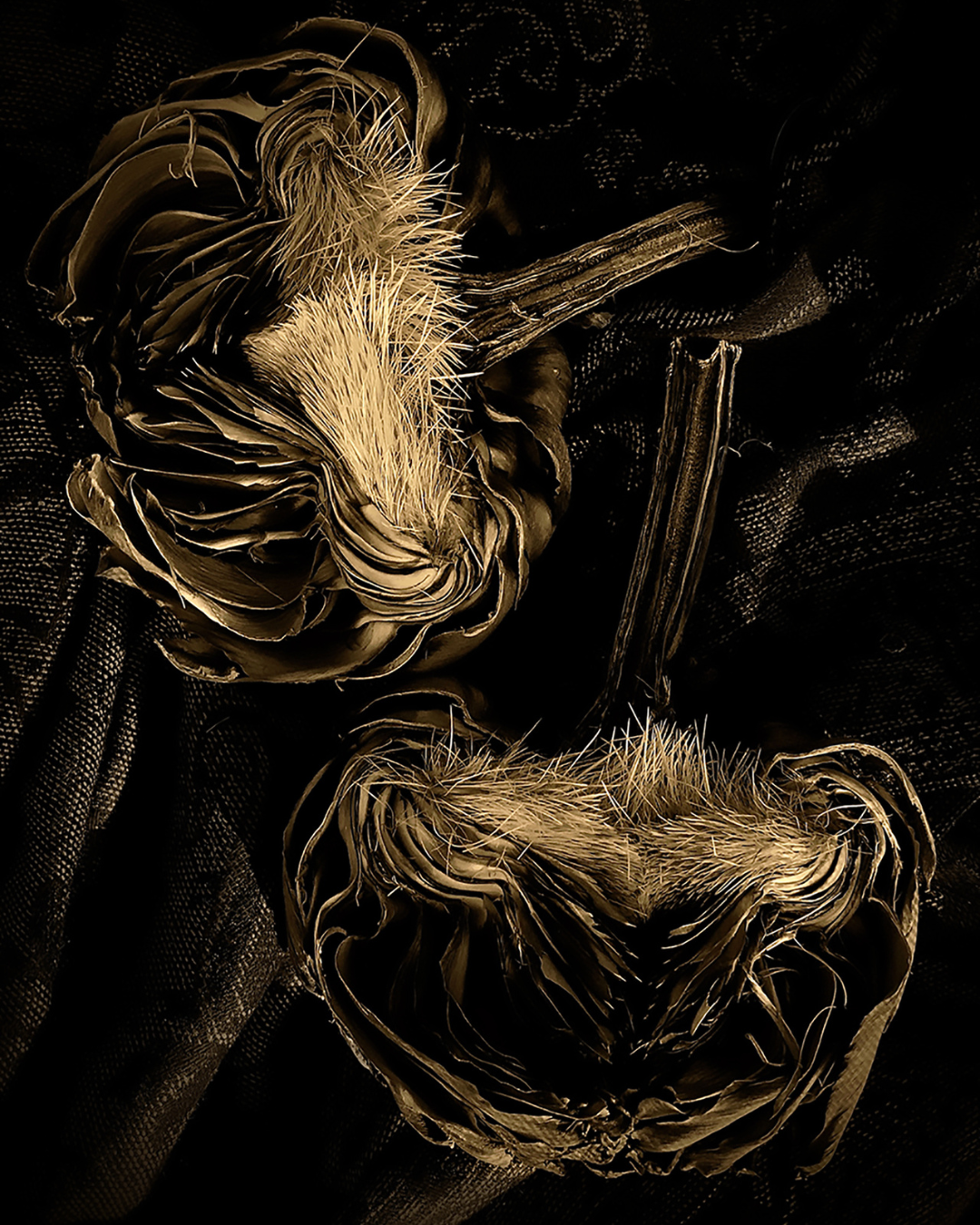 Two Artichokes - Pamela Waldroup