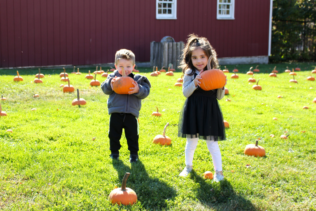 Halloween Family Fun Day 2024-58